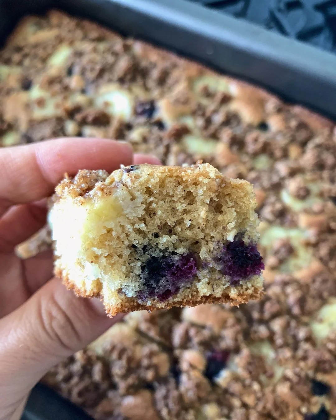 Receita de cuca low carb com mirtilos