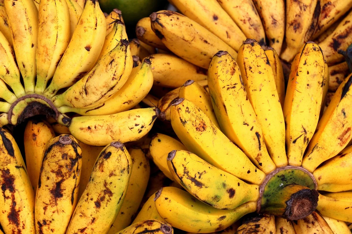 receita paozinho banana da terra